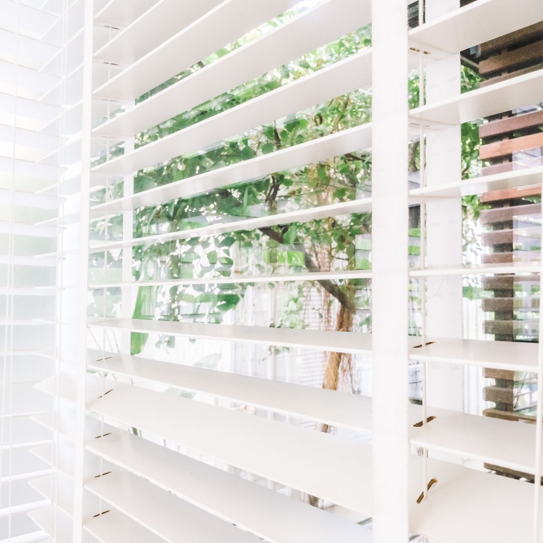 window blinds