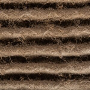 extremely dirty filter